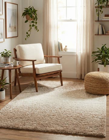 Beige and Ivory Soft Touch Shag Rug