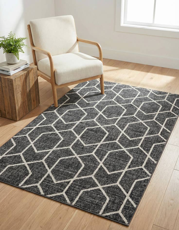 Detail image of 4' x 6' Eco Trellis Rug