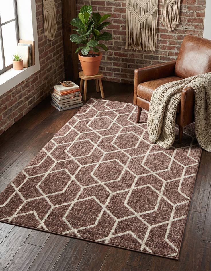Detail image of 4' x 6' Eco Trellis Rug