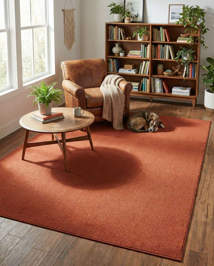 240cm x 335cm Everyday Solid Teppich