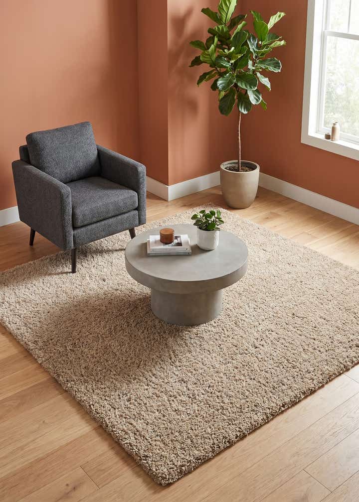 7' 10 x 7' 10 Everyday Shag Square Rug