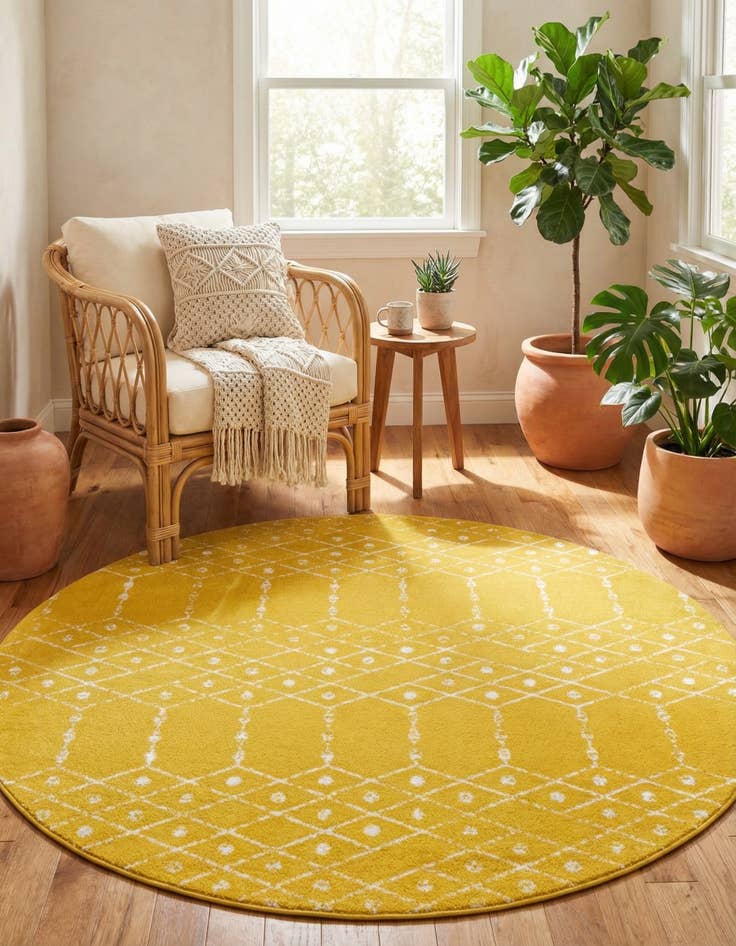 Detail image of 7' 10 x 7' 10 Paxon Trellis Round Rug