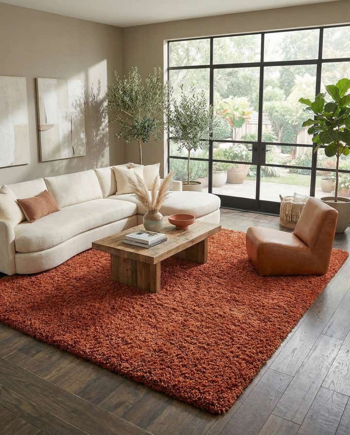 10' x 13' Solid Shag Rug