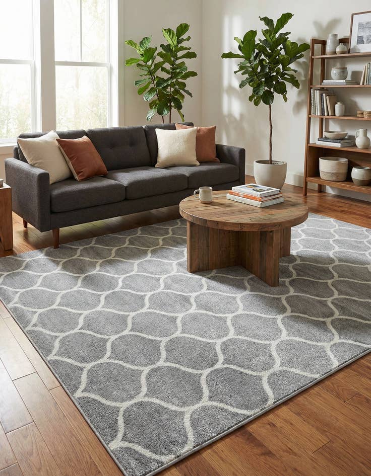 Detail image of  9' x 12' Lattice Frieze Rug