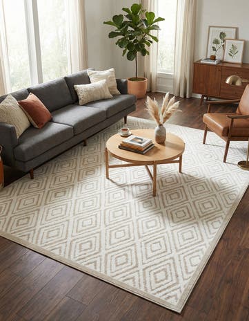 7' 10 x 11' 6 Hermitage Rug