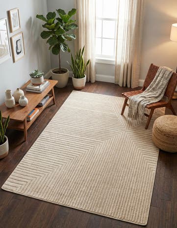 4' x 6' Contour Rug