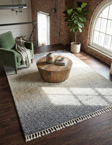 8' x 10' Athena Shag Rug