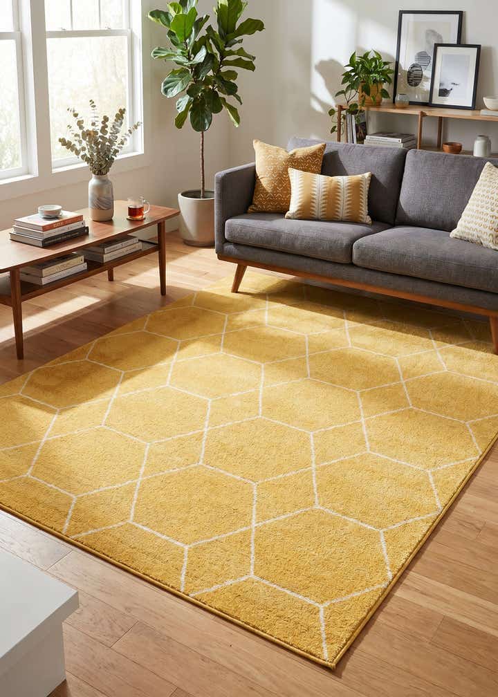 7' 10 x 10' Lattice Frieze Rug