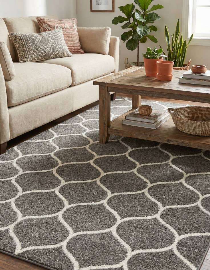 Detail image of 5' 3 x 8' Trellis Frieze Rug