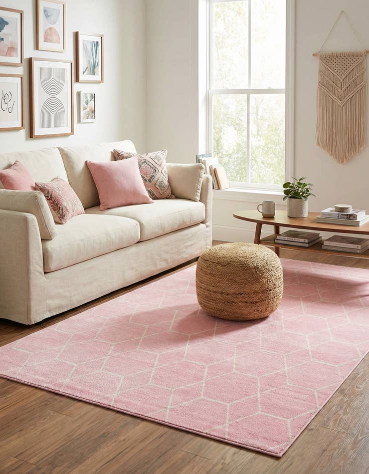 Detail image of 5' 3 x 8' Lattice Frieze Rug