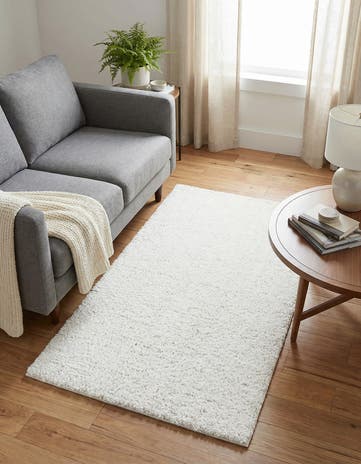 3' x 5' 3 Zermatt Shag Rug