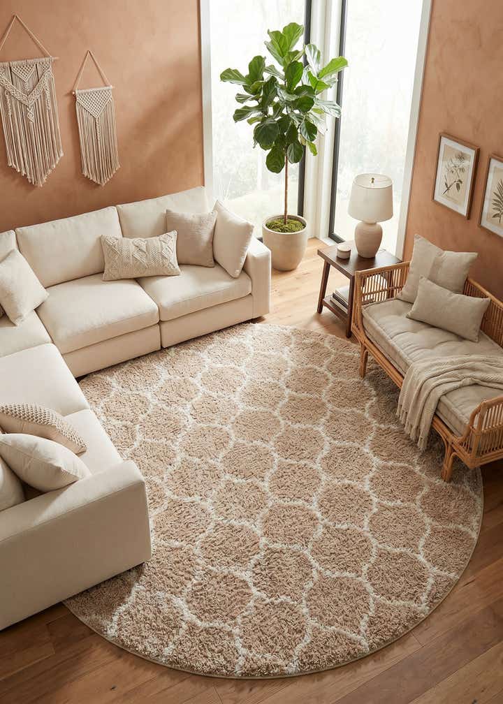 10' x 10' Trellis Shag Round Rug