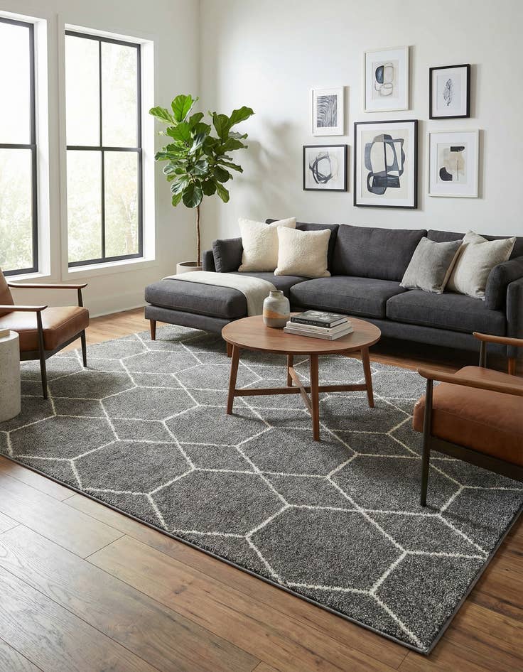 Detail image of 10' x 14' Lattice Frieze Rug