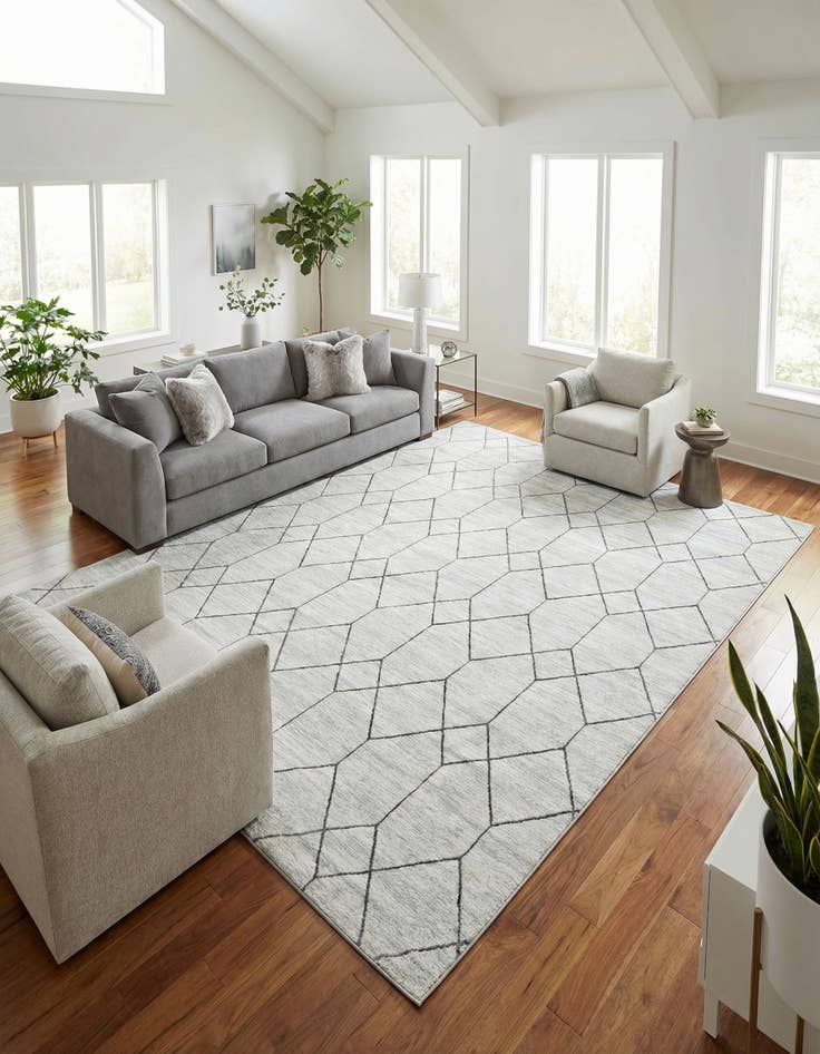 Detail image of  9' 10 x 14' Lattice Trellis Rug