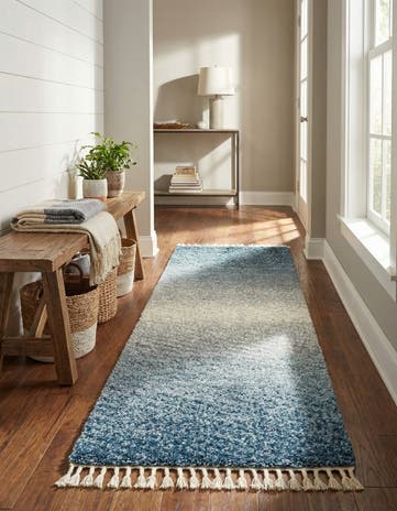 2' 2 x 6' Athena Shag Runner Rug