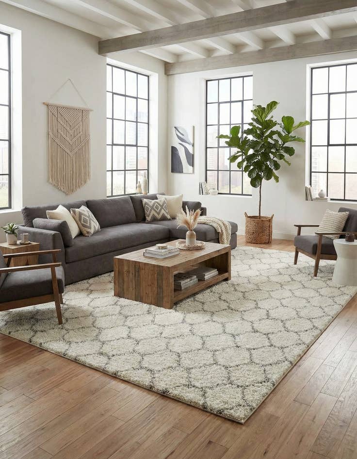 Detail image of 10' 8 x 14' Trellis Shag Rug