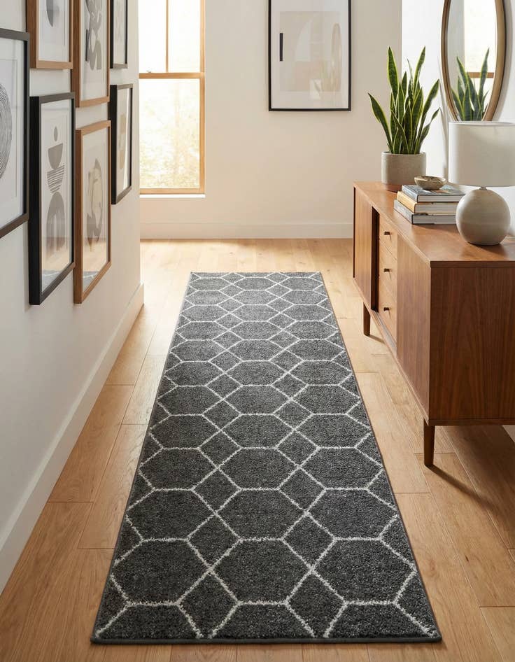 Detail image of 2' x 10' Lattice Frieze Runner Rug