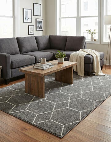 5' 3 x 8' Lattice Frieze Rug