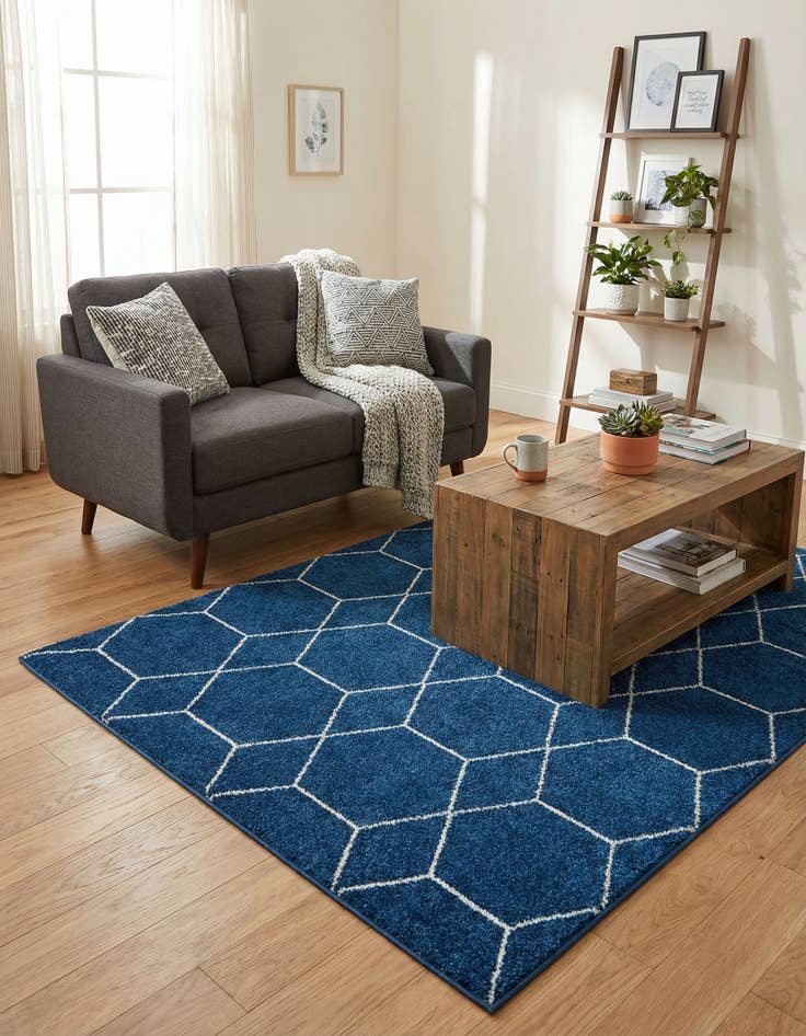 Detail image of 4' x 6' Trellis Frieze Rug