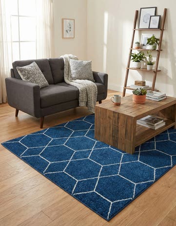 4' x 6' Lattice Frieze Rug
