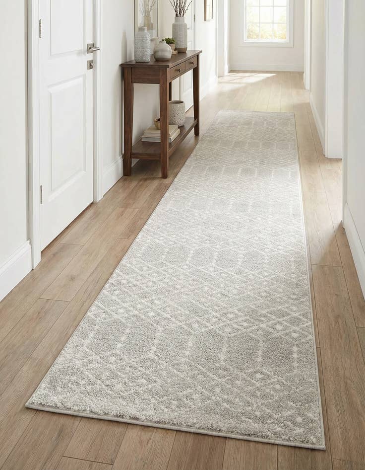Detail image of 3' x 13' Paxon Trellis Runner Rug