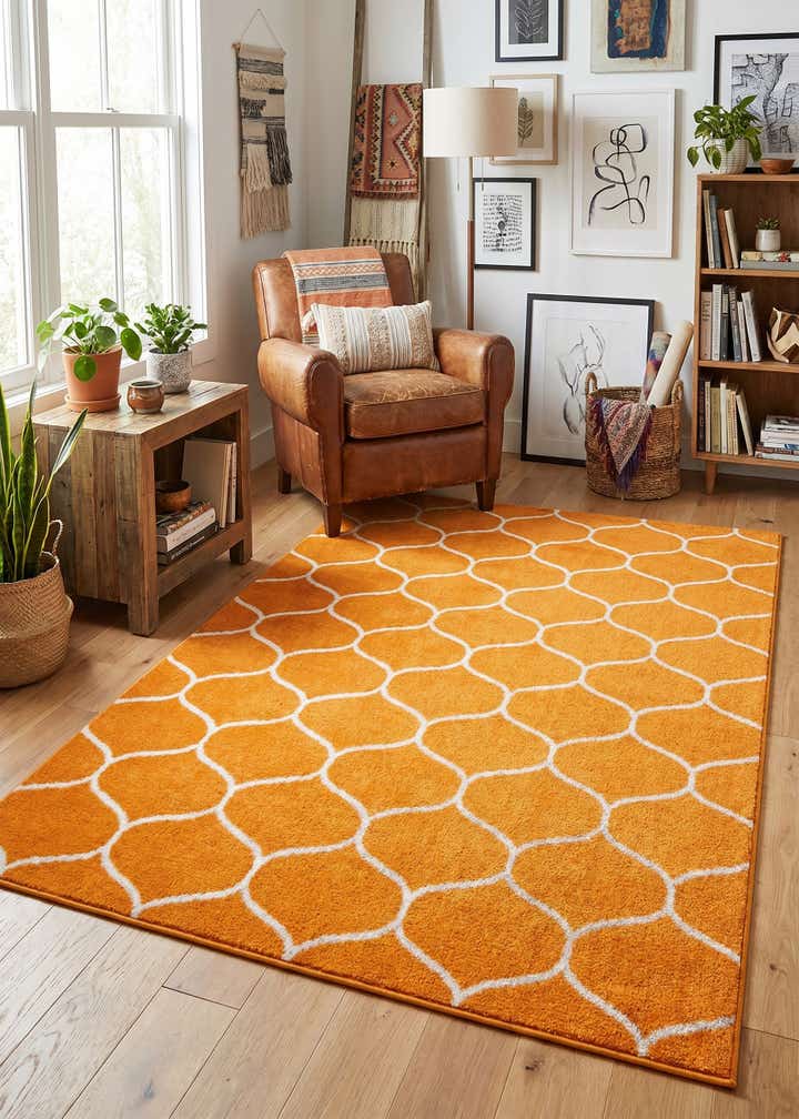 5' 3 x 8' Trellis Frieze Rug