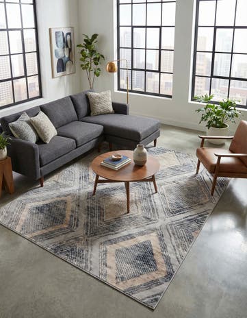 8' x 10' Caspian Rug