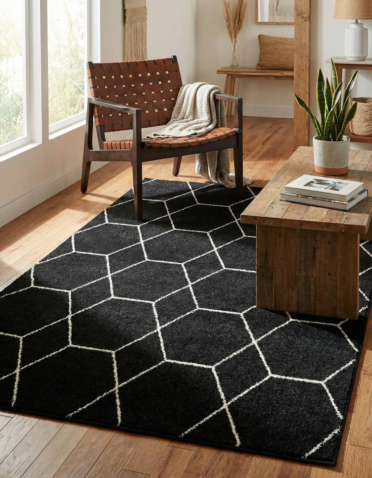 Detail image of 4' x 6' Lattice Frieze Rug