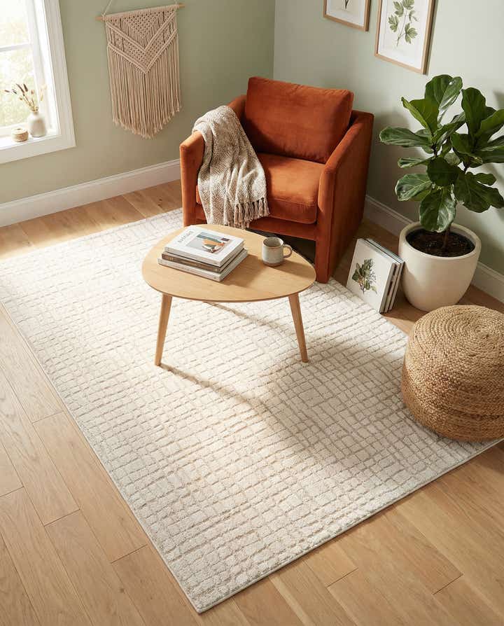 4' x 6' Textura Designer Rug