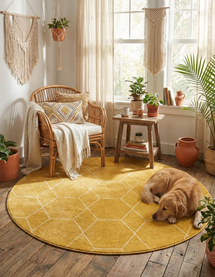 Detail image of 5' 3 x 5' 3 Lattice Frieze Round Rug