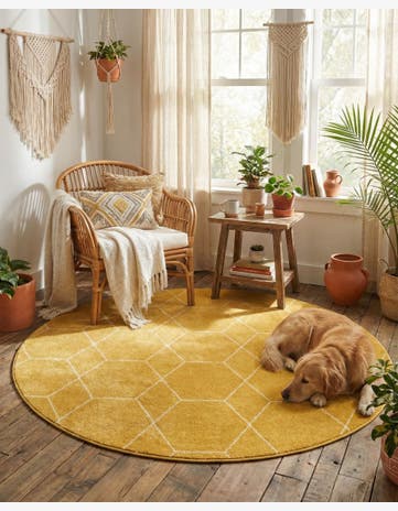 Yellow Lattice Frieze Round Rug