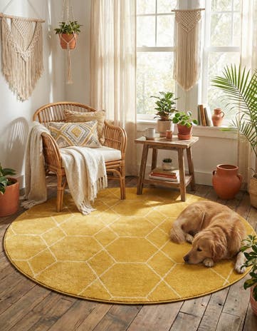 5' 3 x 5' 3 Lattice Frieze Round Rug