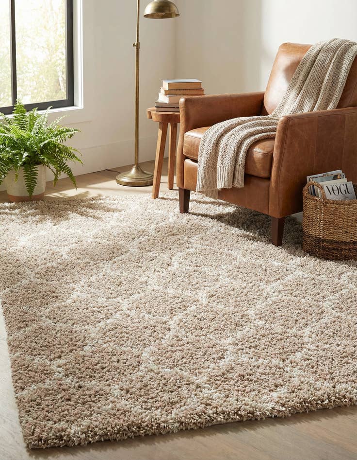 Detail image of 4' x 6' Lattice Shag Rug