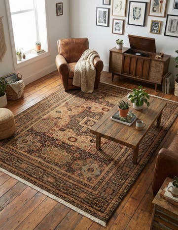 7' x 10' Amina Rug