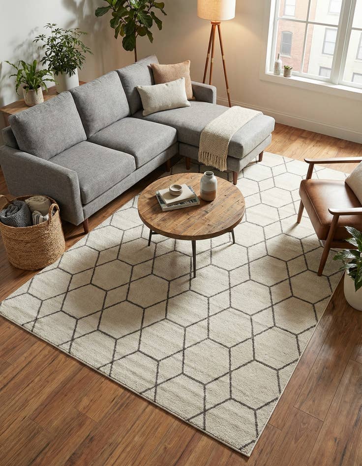 Detail image of 7' 10 x 11' Trellis Frieze Rug