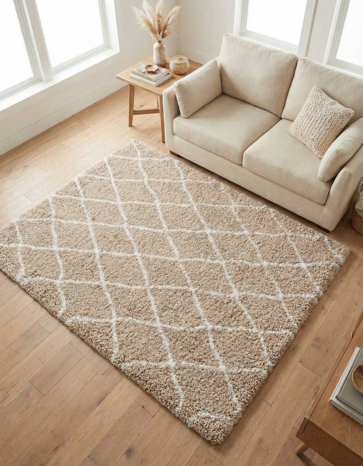 Detail image of 4' x 6' Moroccan Shag Rug