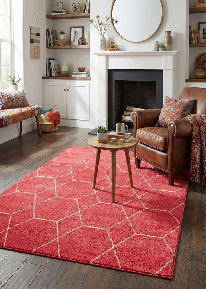 4' x 6' Trellis Frieze Rug