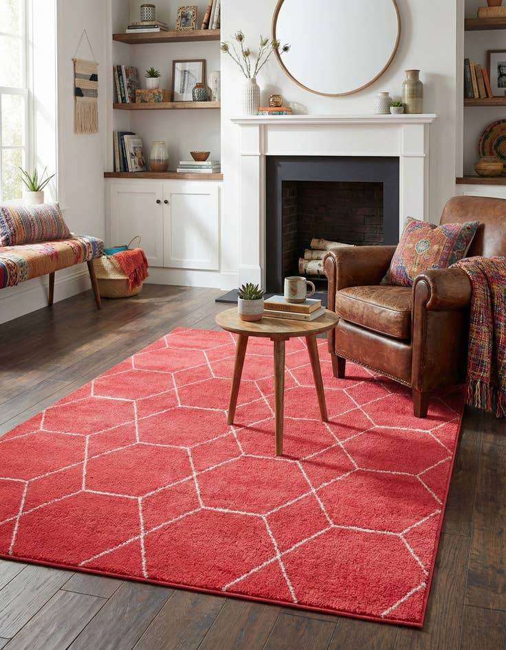 Detail image of 4' x 6' Trellis Frieze Rug