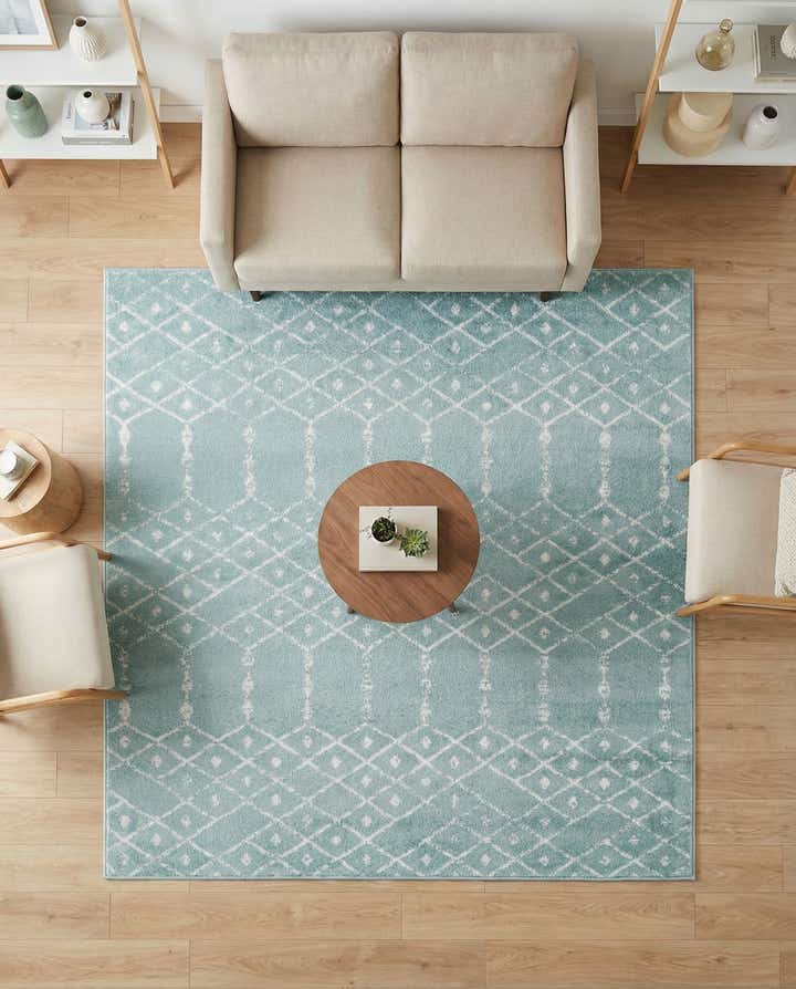 6' 1 x 6' 1 Paxon Trellis Square Rug