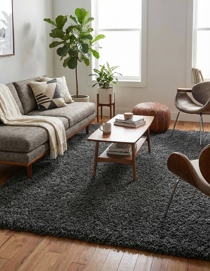 Detail image of 5' 3 x 8' Zermatt Shag Rug