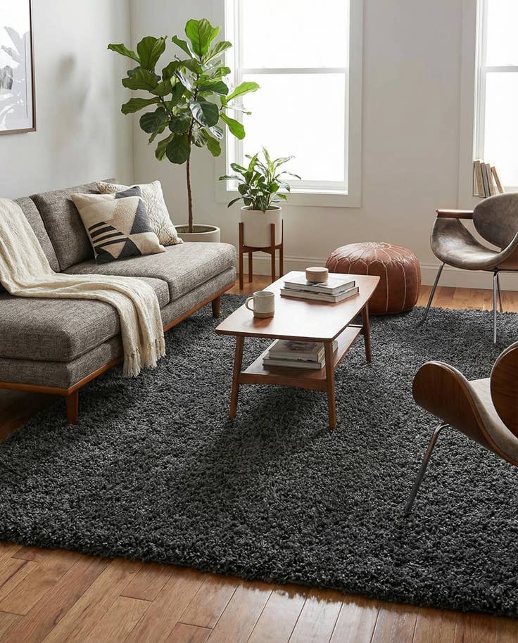 Detail image of 5' 3 x 8' Zermatt Shag Rug