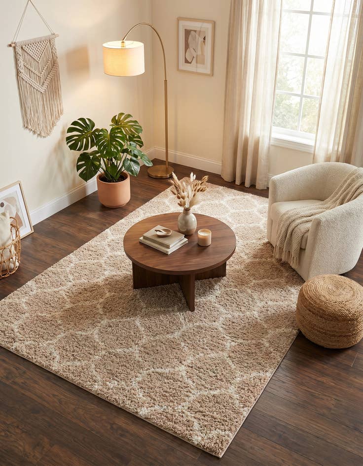 Detail image of 6' x 9' Trellis Shag Rug