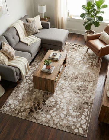 5' 3 x 8' Monaco Rug