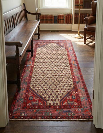 2' 11 x 5' 10 Hamedan Rug