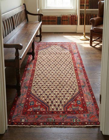 2' 11 x 5' 10 Hamedan Rug