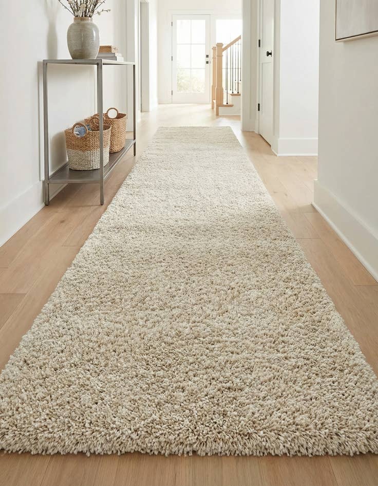 Detail image of 2' 7 x 16' 5 Zermatt Shag Runner Rug