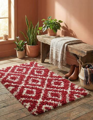 2' x 3' Lattice Shag Rug