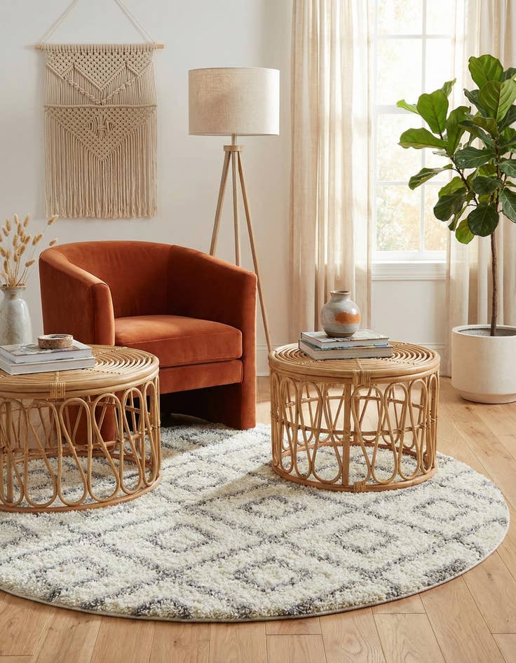 Detail image of 6' x 6' Trellis Shag Round Rug