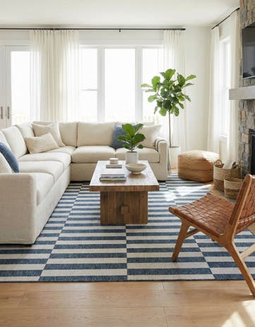 10' x 13' Easy-Clean Ribbon Indoor / Outdoor Rug
