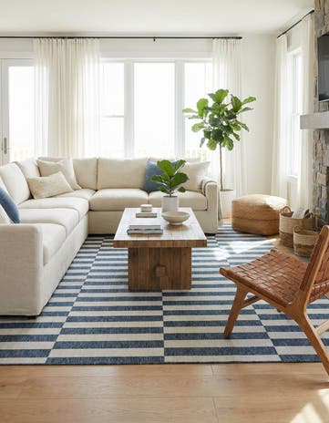 10' x 13' Easy-Clean Ribbon Indoor / Outdoor Rug